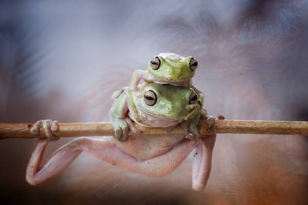 Photograph Hendy Mp  I Hug Mom on One Eyeland